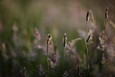 Fami通电击游戏大奖2021投票开始 2022年3月公布结果